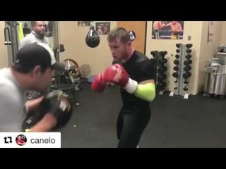 Canelo Alvarez Is Great Shape For Julio Cesar Chavez Jr - esnews boxing
