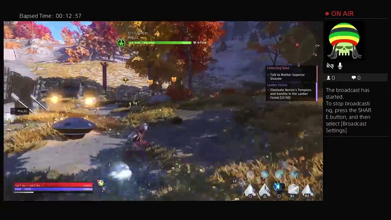 Skyforge (23)