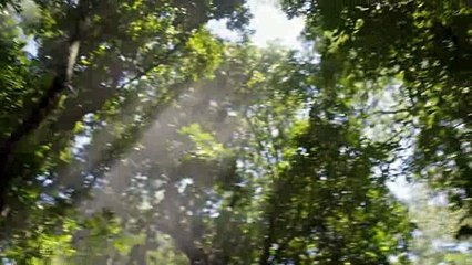 O Rico e Lazaro Capitulo 35 Bloco 2