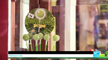 Espagne : les cols blancs du cannabis (28/04/17) (FR)