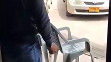 زواج الحيوانات 