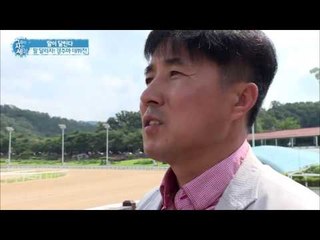 경주마의 데뷔전! 과연 순위는? [그들이 사는 세상] 11회 20160918