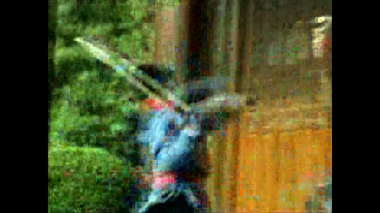 风云2.E17