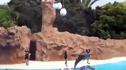 very very fuuny must watch 98