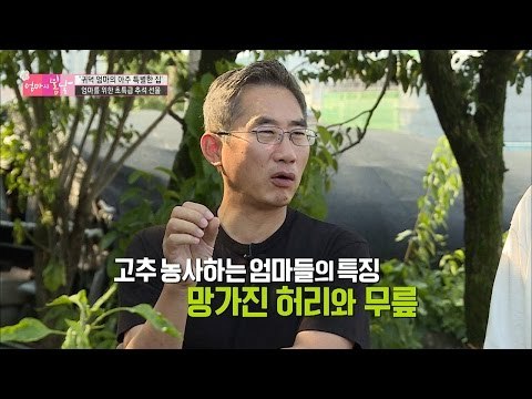 엄마의 허리를 망가지게 하는 고추농사 [엄마의 봄날] 59회 20160918