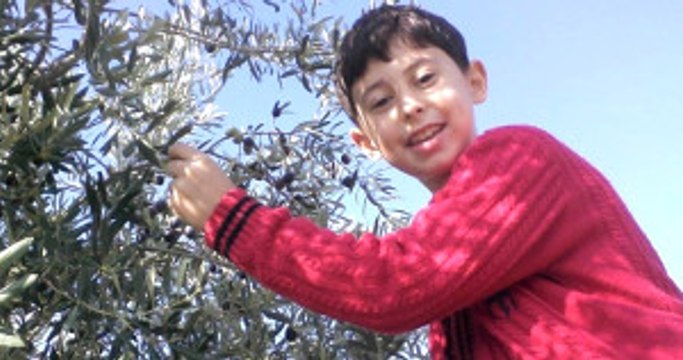 İzmir'de Nişana Giden Aile Kaza Yaptı: 2 Ölü, 9 Yaralı