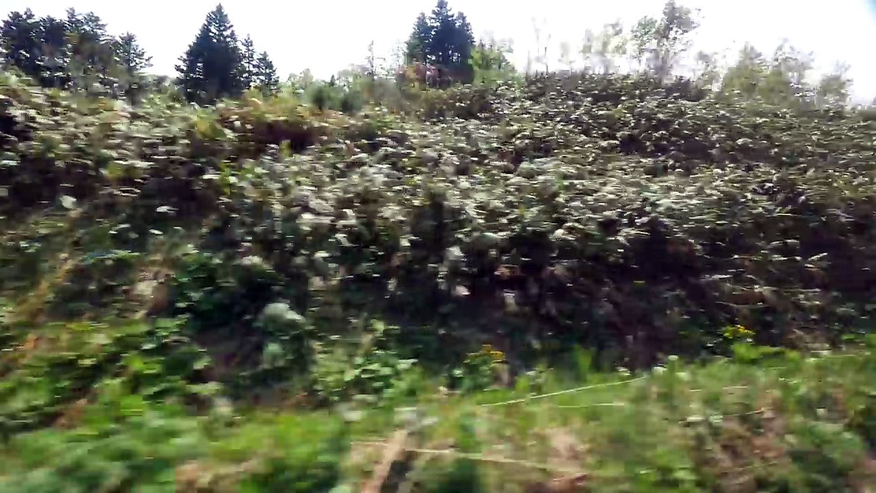 JR北海道 留萌本線 普通 （キハ54形運行） 超広角車窓 進行左側 深川～留萌～増毛 part 1/2
