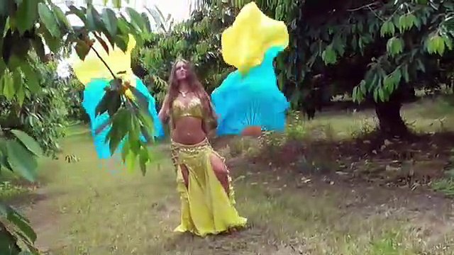 Amr Diab - Habibi Ya Omri - Isabella Belly Dance HD