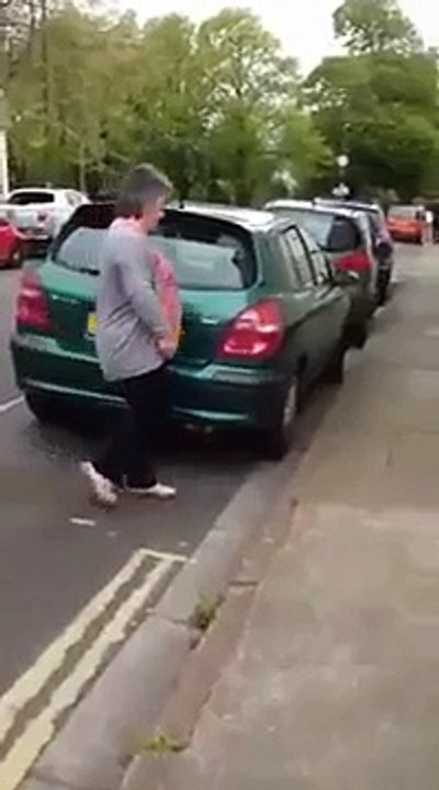 Elle trouve un canard et ses canetons perdus sur la route et les conduit à l'eau