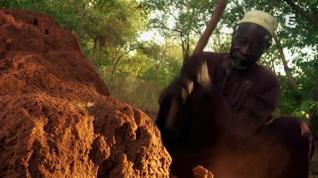 L'histoire magnifique de Yakuba Sawadgo, l'homme qui arrêta le désert !
