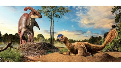 Dinozorlar Hakkında Duymadığınız 10 Tuhaf Gerçek