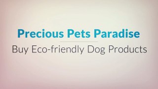 Call @ 1 877-404-7387 to Buy Memory Foam Dog Beds at Precious Pets Paradise