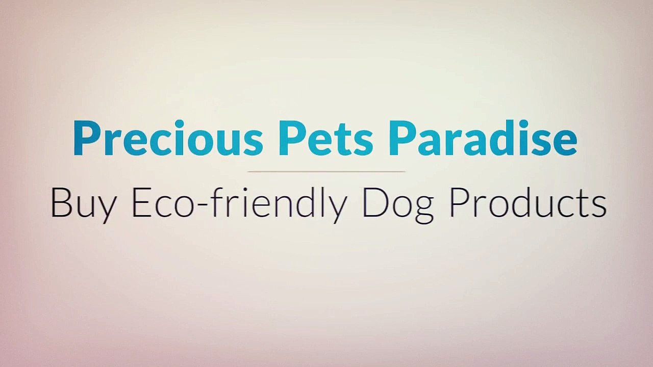 Call @ 1 877-404-7387 to Buy Memory Foam Dog Beds at Precious Pets Paradise
