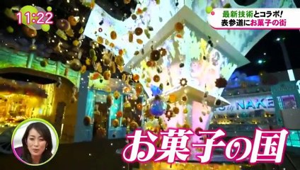 ノンストップ!   2016年12月21日 161221 (13)