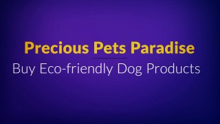 Precious Pets Paradise Offer Best Designer Dog Beds