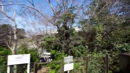 南海電気鉄道 南海本線 特急サザン （12000系運行）  超広角車窓 進行左側 和歌山港～難波