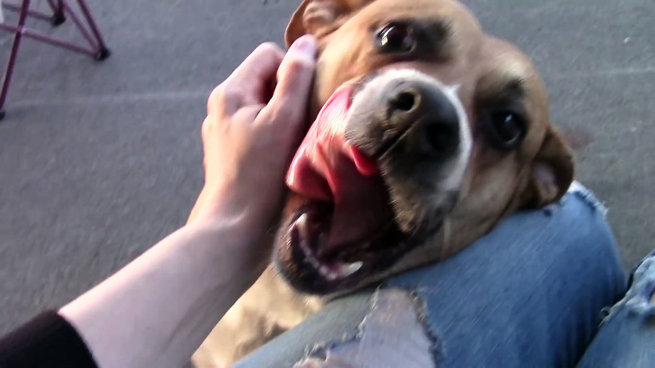 Full Day Of Eating - Keto Diet - How To Hit Your Macros - VLOG(001209.910-001241.324)