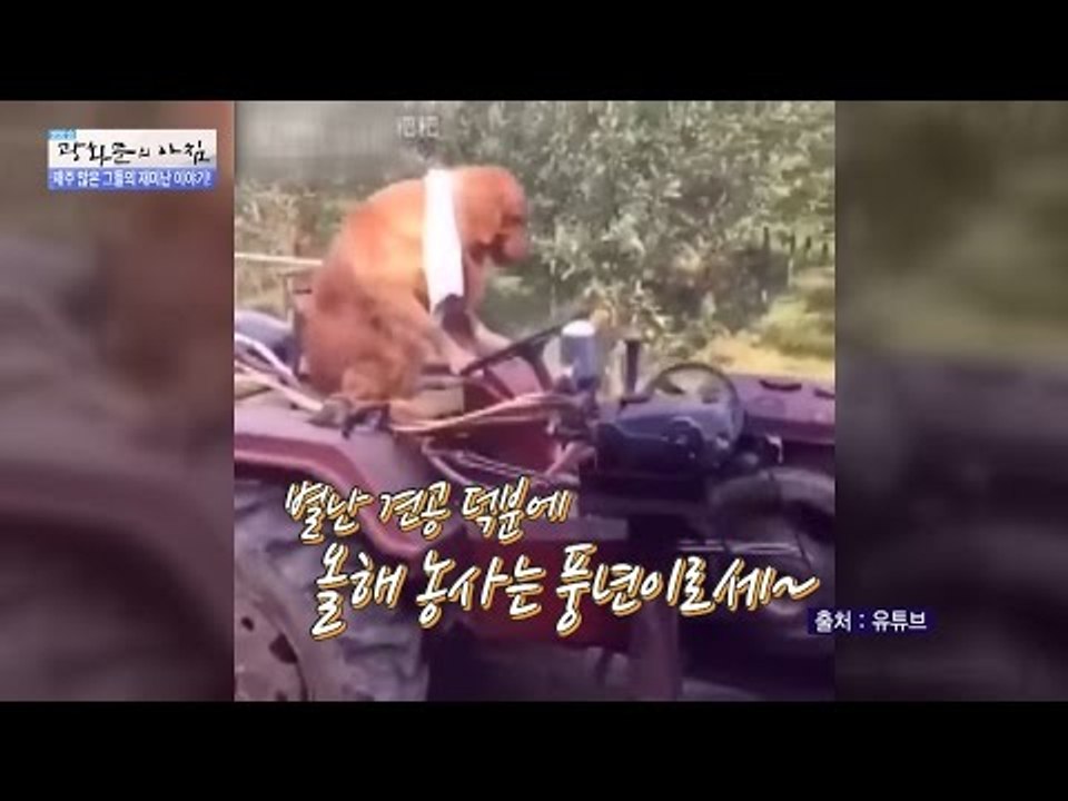 여기 농사짓는 별난 개 있음 [광화문의 아침] 317회 20160914