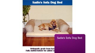 Shop Sofa Couch Pet Beds : Precious Pets Paradise