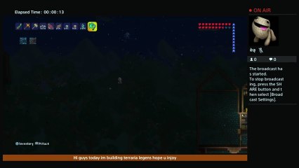 Terraria legens (6)