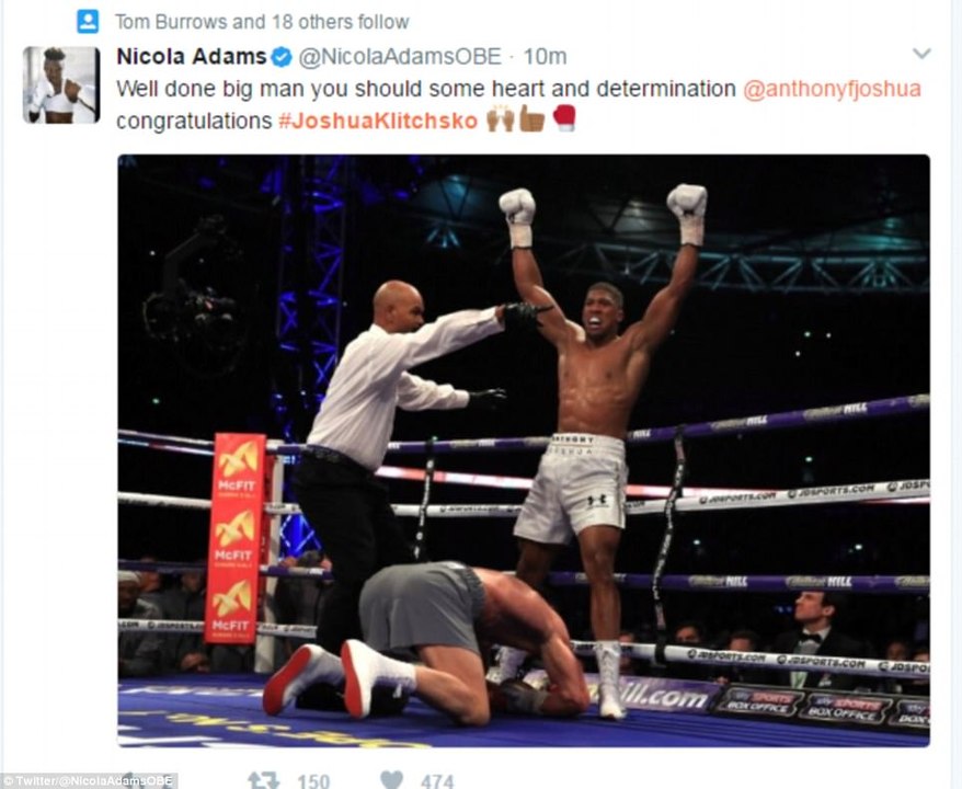 anthony joshua | anthony joshua  VS. wladimir klitschko |  anthony joshua beats wladimir klitschko at wembley stadium