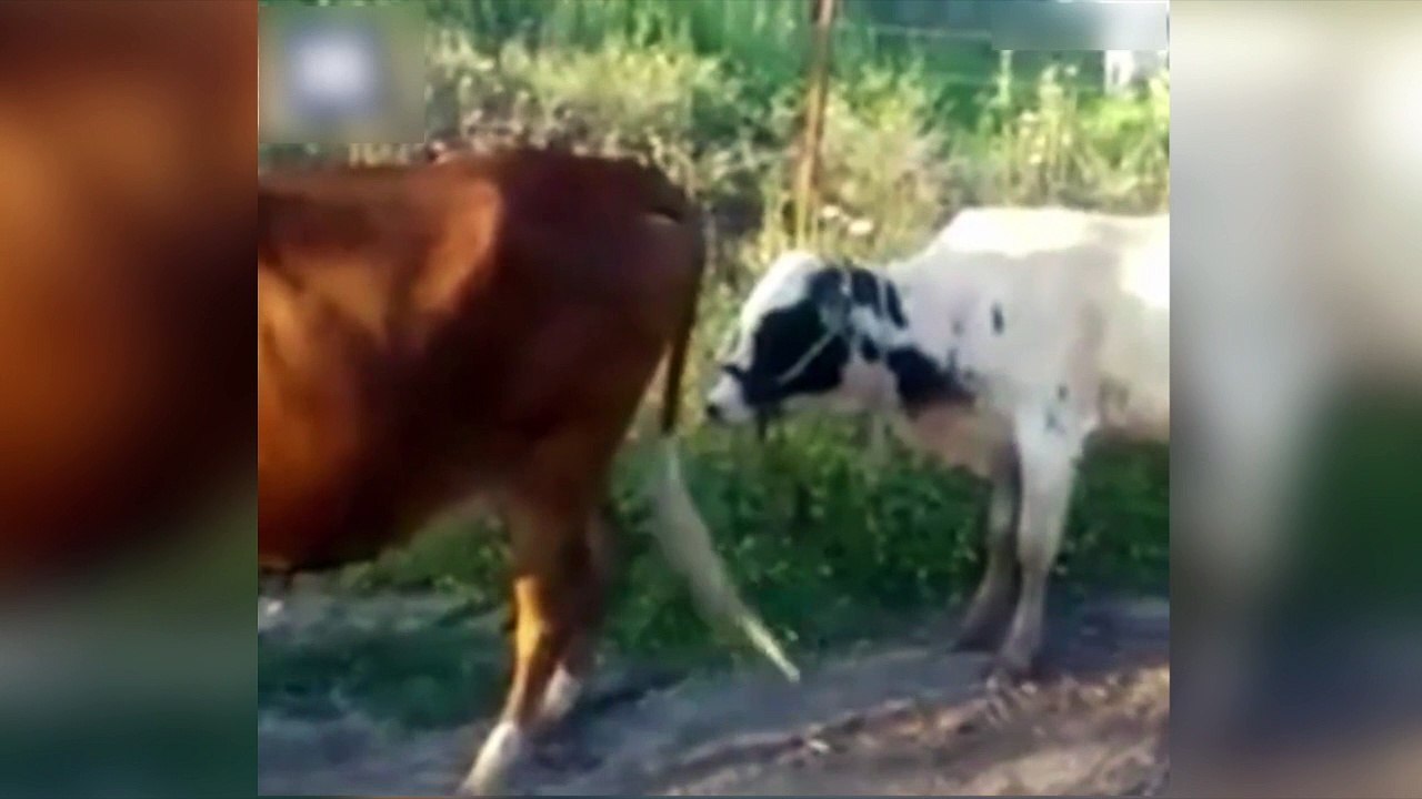 Quand tu es trop petit !