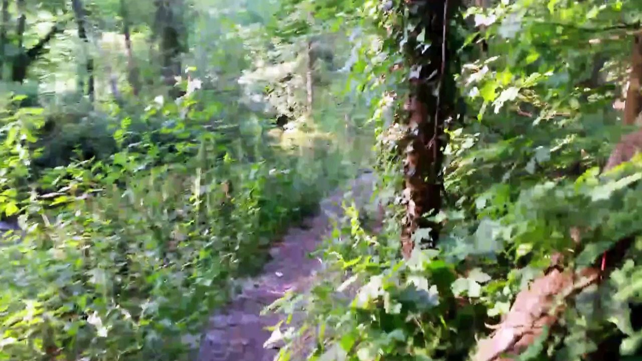 Paseo polo Cabe ata Ribasaltas 2017