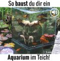 Video Snacks - Die Fische müssen sich wie Astronauten..._684649061720331