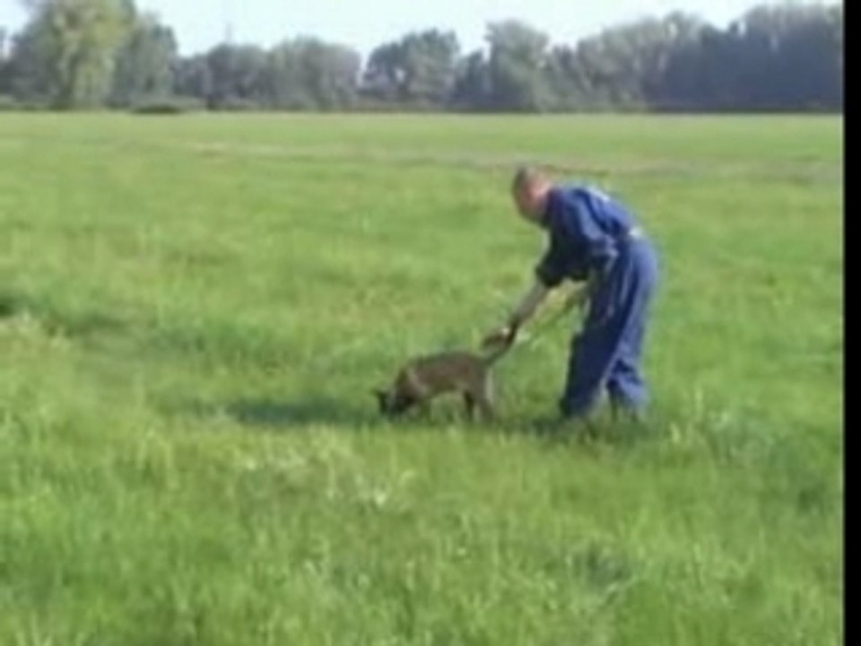 Be Aware Aphrodite-Fährte-Sept-07