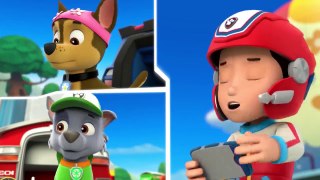 PAW Patrol - S 1 E 14 - Pups Save a Pool Day - Circus Pup Formers