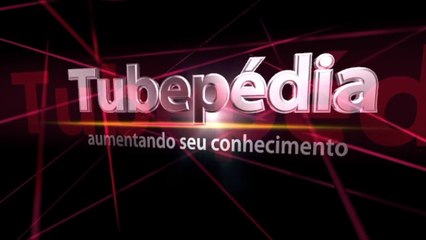 #1 - Aprenda a usar os porquês