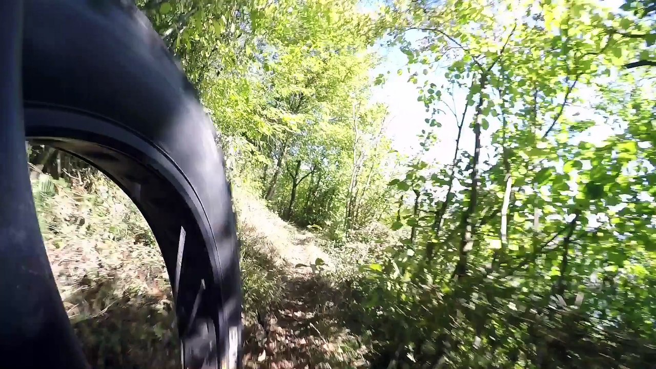 fat bike les ANDELYS falaise golden retriever