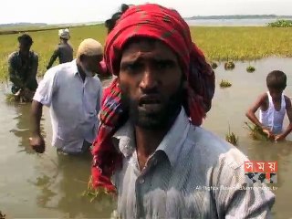 কমতে শুরু করেছে সুনামগঞ্জ ও নাটোরের হাওলাঞ্চলের পানি
