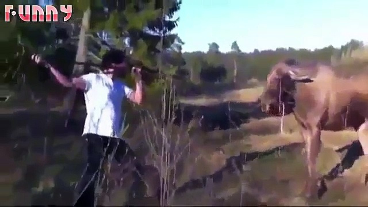 funny videos(3)