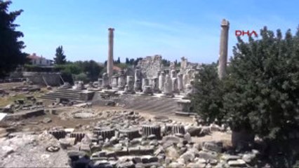 Aydın Didim'de Vegfest Başladı