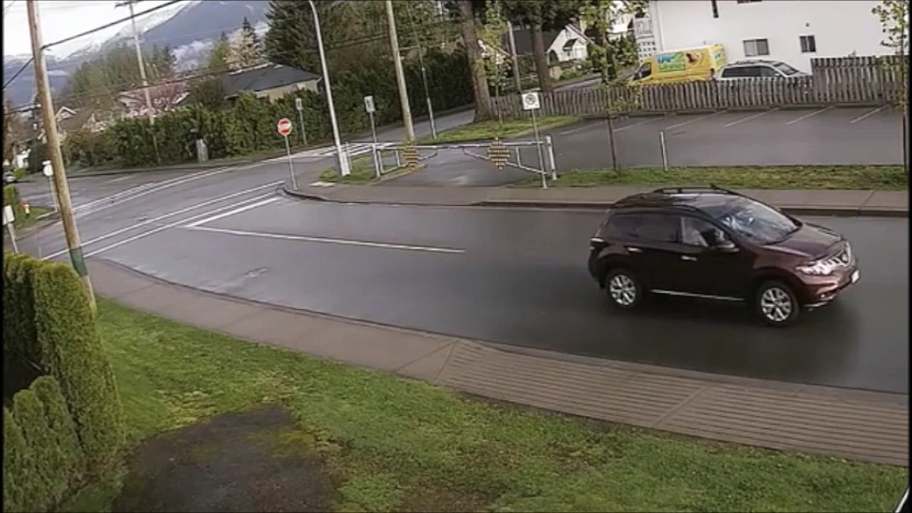 Un écureuil échappe à une pie, un chat et une voiture... Chanceux!