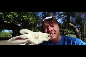 Yavru kangurunun insan sevgisi