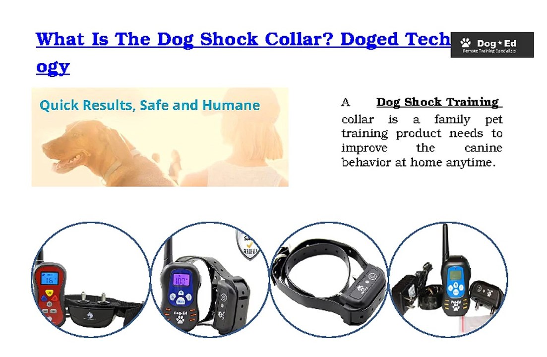 What Is The Dog Shock Collar? Doged Technology