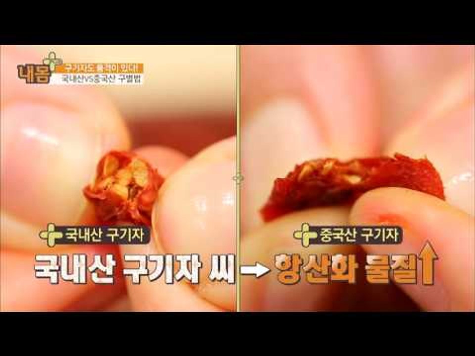 구기자! 국내산과 중군산 구별법! [내 몸 플러스] 23회 20160911