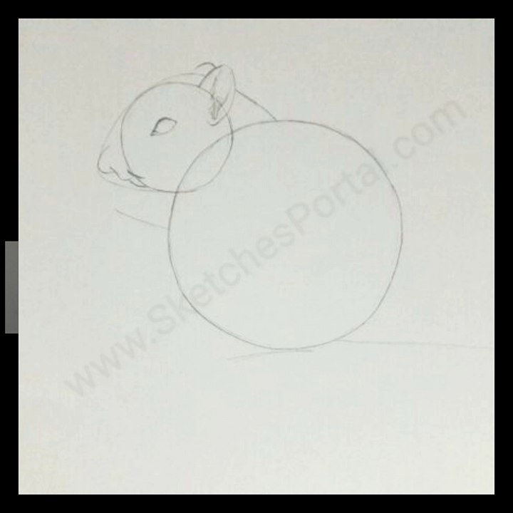 How to Draw a Chipmunk In 8 Steps