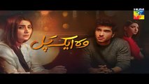 Woh Aik Pal Episode 8 - 29th April 2017