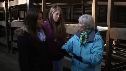 A Day in Auschwitz