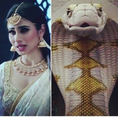 Naagin 2 में खुल गया महेंद्र सिंह प्रताप का राज - Today Upcoming Twist