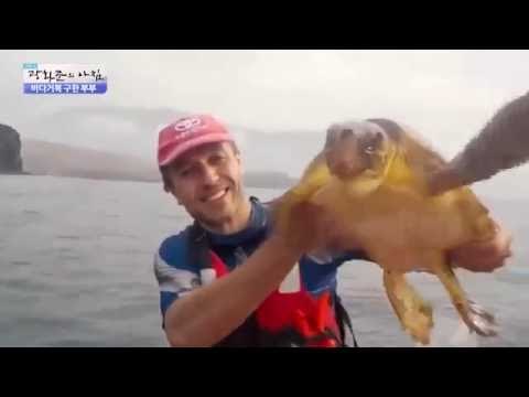 바다거북 “오예 살았다!” [광화문의 아침] 295회 20160812