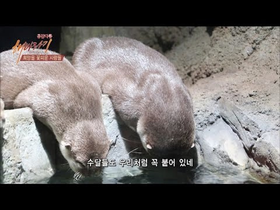 수족관에서 행복한 시간을 보내는 자매 [해바라기] 16회 20160813
