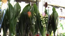 D!CI TV : Traditionnelle vente du muguet à Serres