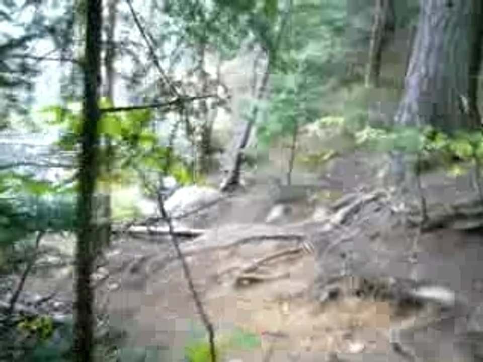 algonquin walk bat lake