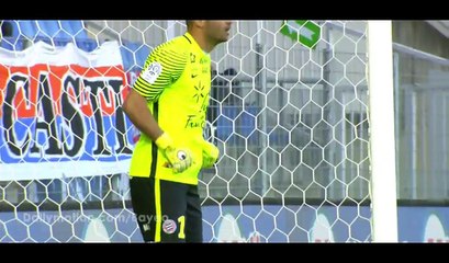 Nicolas De Preville Goal HD - Montpellier 0-1 Lille - 29.04.2017