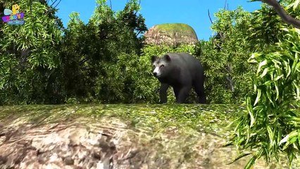 Finger Family Bear Family Rhymes _ Animals Cartoon Finger Family Rhy