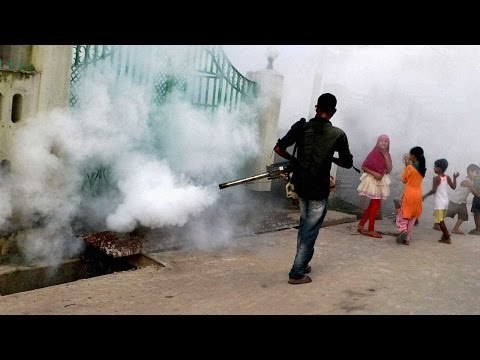 Kejriwal's anti-dengue mosquitoes to fight dengue mosquitoes
